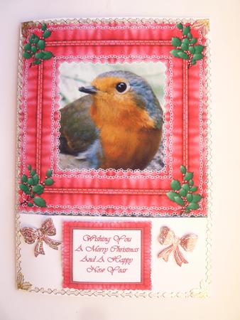 Christmas Robin by Rosina Walker