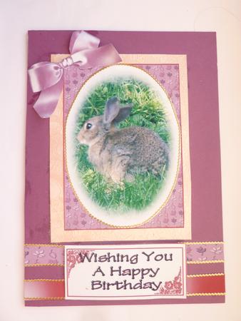 Rabbit Topper by Rosina Walker