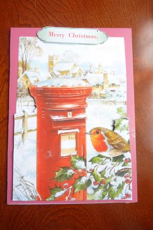 Snow Village with Letterbox & Robin by Rosina Walker