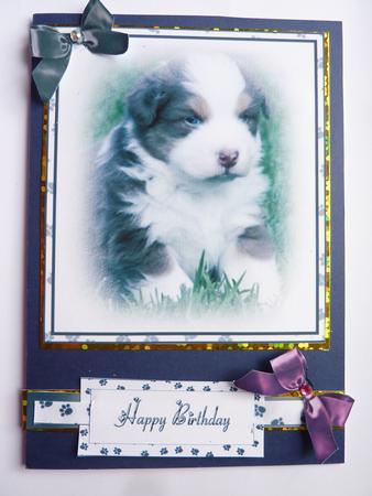 The Cutest Little Puppy by Rosina Walker