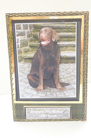 Chocalate Labrador Scene 3D Decoupage by Rosina Walker