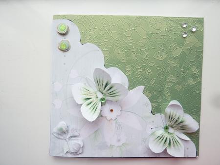Green Butterfly Cut and Fold Card by Rosina Walker
