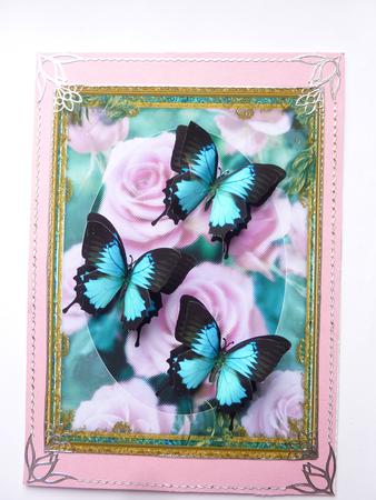 A4 Butterflies in Summer by Rosina Walker