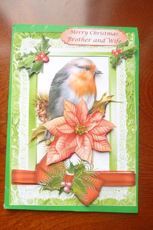 Lovely Robin with Holly and Bow, on Lace by Rosina Walker