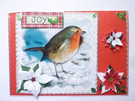 Pretty Robin Square Card Front by Rosina Walker
