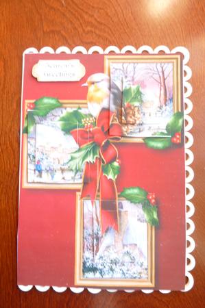 Christmas Robin & Holly Frame Trio by Rosina Walker