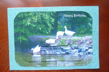 Ducks Going for a Swim Pyramage by Rosina Walker