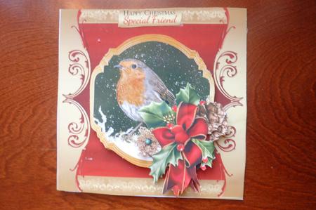 Robin Gold and Red Christmas Quick Card by Rosina Walker