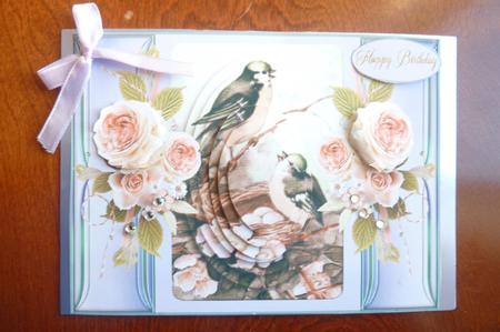 Nesting Birds and Roses with Layers by Rosina Walker