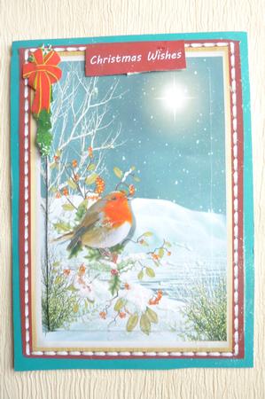 Beautiful Christmas Robin  by Rosina Walker