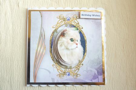 Lovely White Cat Card with Eclipes Stackers by Rosina Walker