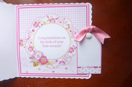New Baby Girl Mini Kit Insert by Rosina Walker