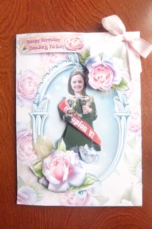 Soft Roses & Butterfly Papers by Rosina Walker
