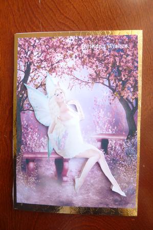 Pink Butterfly Fairy A4 Card Front by Rosina Walker