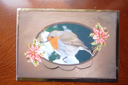 Christmas Robin Framed Scalloped Pyramid by Rosina Walker