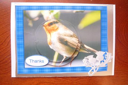 Scottish Robin by Rosina Walker
