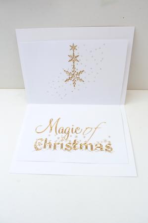 Magic of Christmas Insert by Rosina Walker