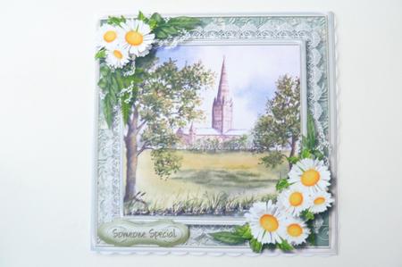 Beautiful Daisy's at Salisbury Cathedral by Rosina Walker