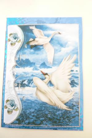Beautiful Fantasy Swans with the Ocean, and Blue Roses A4 by Rosina Walker