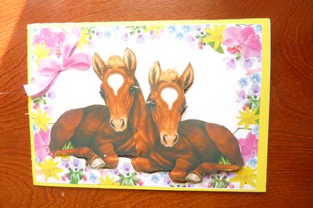 Pair of Cute Foals Laying Down in Floral Frame by Rosina Walker