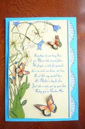 Flowers and Butterflies by Rosina Walker