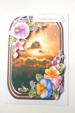 Beautiful Pansy's in the Summer Sunset by Rosina Walker