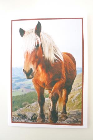 Mountain Horse A4 by Rosina Walker