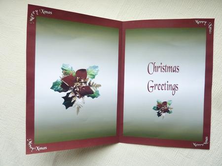 Red and Gold Xmas Insert by Rosina Walker