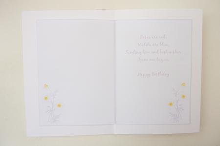 7x5 Insert - Chamomile Love Best Wishes Birthday by Rosina Walker