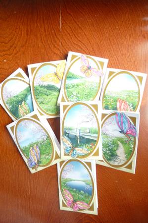 Spring Meadows Tags/mini Cards by Rosina Walker