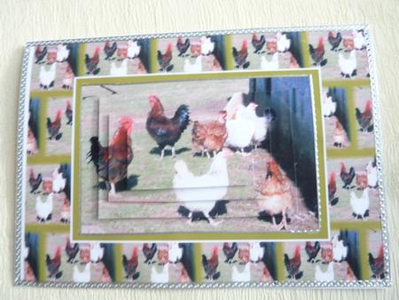 Birds of a Feather by Rosina Walker