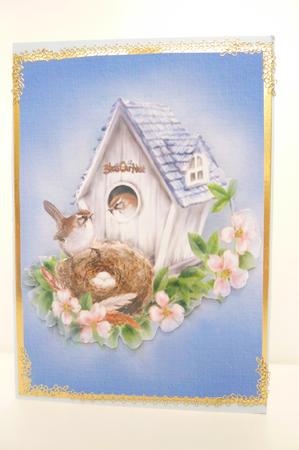 Bird House by Rosina Walker