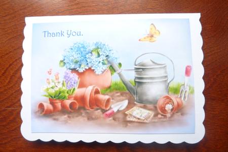 The Bottom of Our Garden by Rosina Walker
