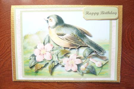 Lovely Bird in the Blossom by Rosina Walker