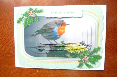 Lovely Christmas Robin in Pyramid  by Rosina Walker