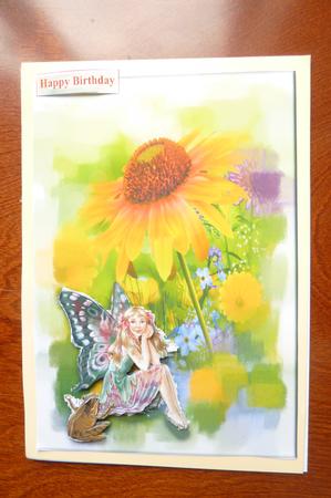 Sunflower by Rosina Walker
