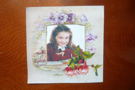 Victorian Fuchsias Quick Pages by Rosina Walker