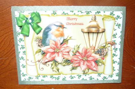 Robin with Poinsettias on a Scroll A4 by Rosina Walker