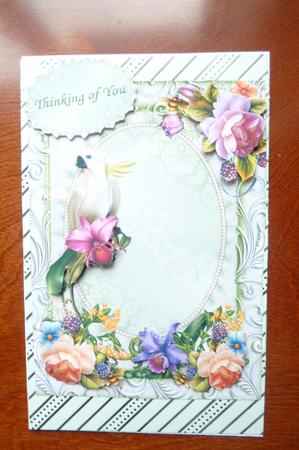 Beautiful Floral by Rosina Walker