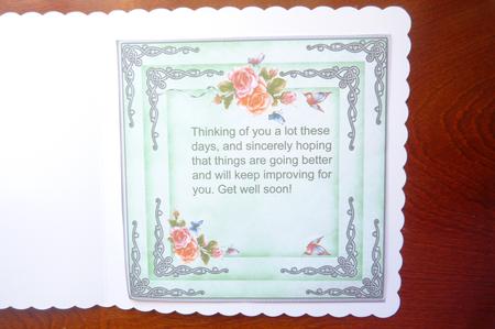 Butterfly and Flower Insert Green by Rosina Walker