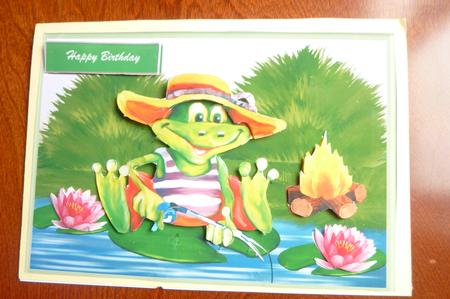 Croaking Frog Fishing by Rosina Walker