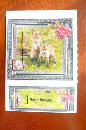 Fox Fun by Rosina Walker