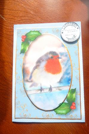 Snowy Christmas Robin by Rosina Walker