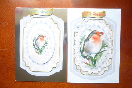 Lovely Robin in the Snow on Lace with Bow Bracket Card by Rosina Walker