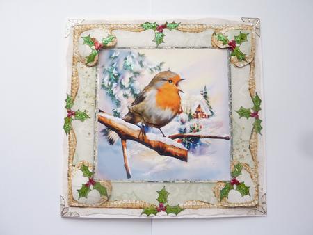 Christmas Robin & Holly Berries 8" x 8" Quick Square Card by Rosina Walker