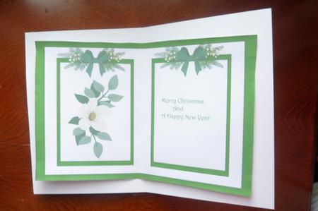 Incert Christmas Green  by Rosina Walker