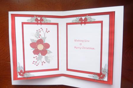 Incert Christmas Red  by Rosina Walker
