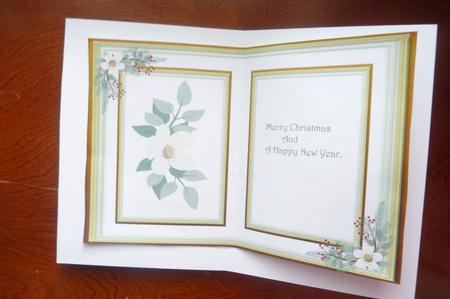 Incert Christmas Buff by Rosina Walker