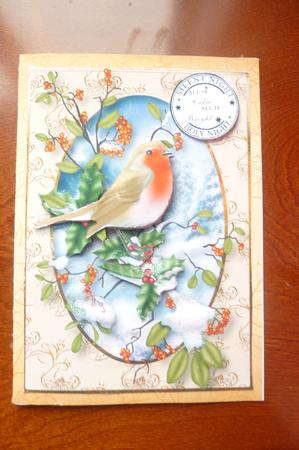 Gorgeous Christmas Robins by Rosina Walker