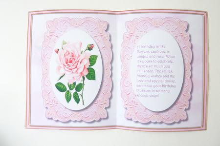 Incert Pink Rose  by Rosina Walker